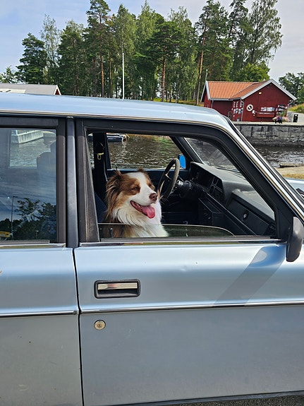 Volvo 240 5 of 25