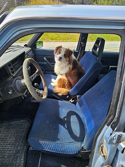 Volvo 240 11 of 25
