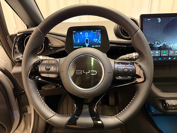BYD Dolphin 22 of 26