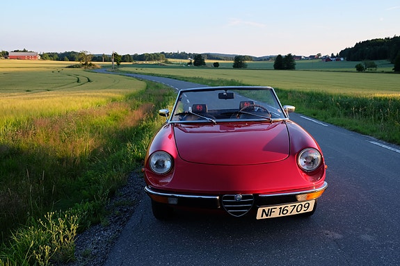 Alfa Romeo Spider 30 of 30