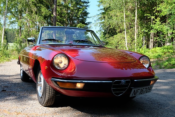 Alfa Romeo Spider 10 of 30