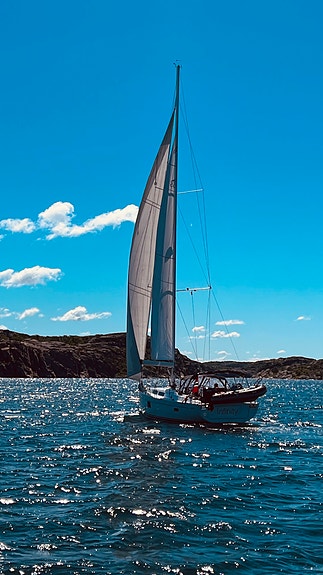 Hanse 455 til salgs 3 of 5