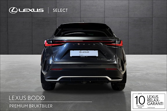 Lexus NX450h 4 of 22