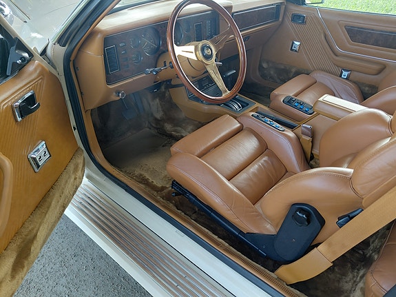 Zimmer Golden Spirit 9 of 24