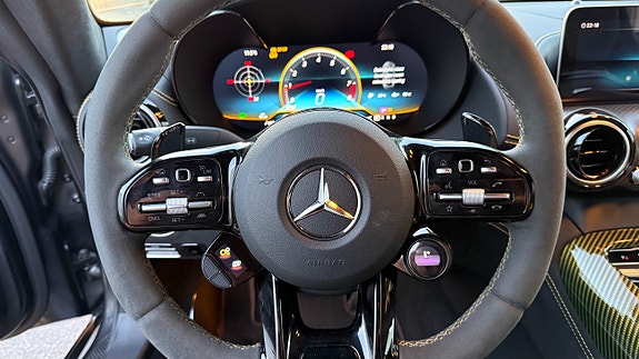 Mercedes-Benz AMG GT R 16 of 30