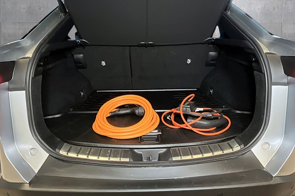 Lexus RZ450e 20 of 21
