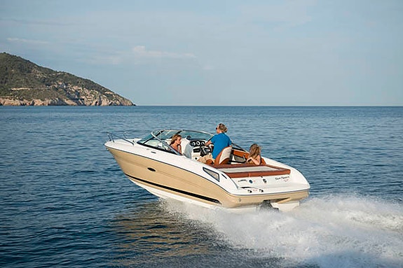 Daycruiser leies ut 5 of 5