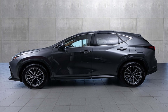 Lexus NX450h 3 of 30