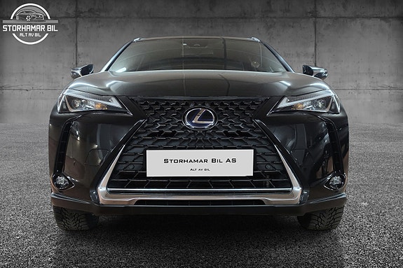 Lexus UX300e 3 of 30