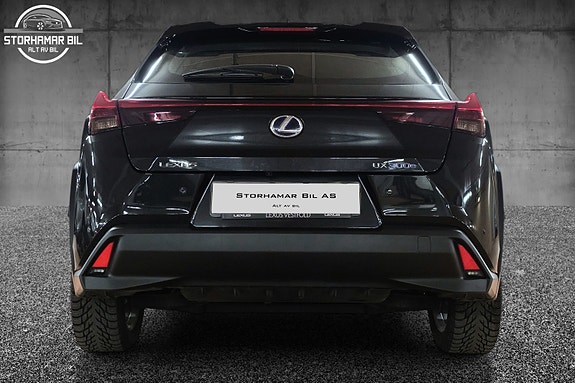 Lexus UX300e 9 of 30