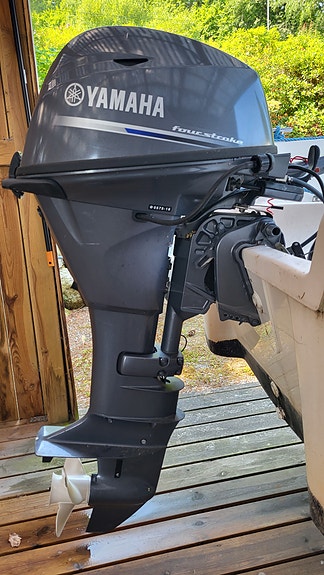 Billig Landstedsbåt med motor og tilhenger 2 of 3