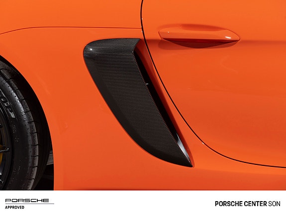 Porsche Cayman 24 of 30