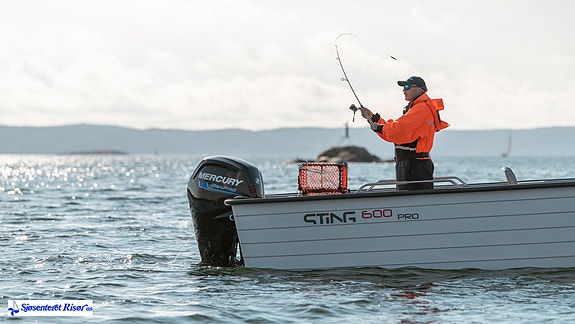 Sting Pro 600 Open m/Mercury 80HK 5 of 5