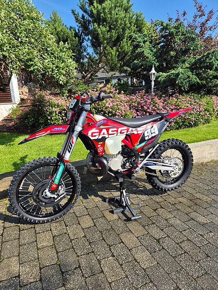 GasGas EC 300 3 of 18