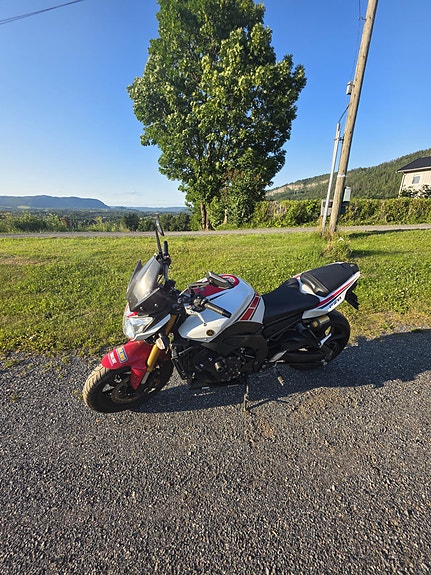 Yamaha FZ8-N 8 of 9