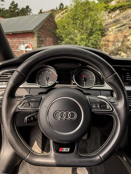 Audi S5 23 of 30
