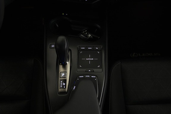 Lexus UX300e 16 of 28