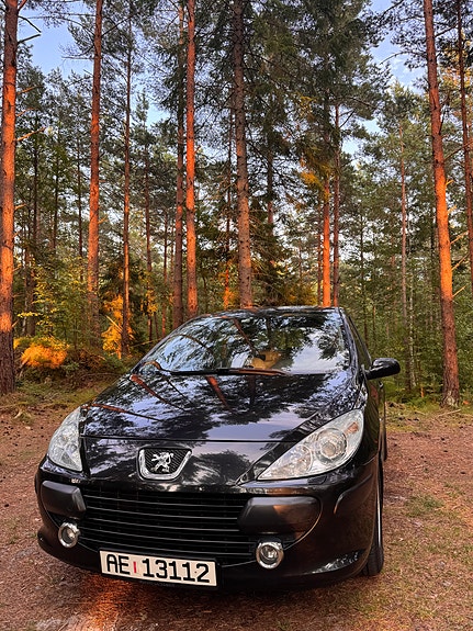 Peugeot 307 2 of 5