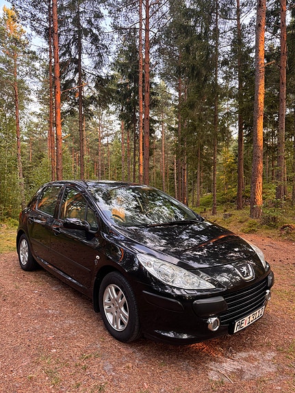 Peugeot 307 3 of 5
