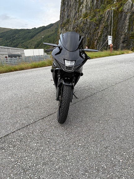 Suzuki GSX-R 125 8 of 8