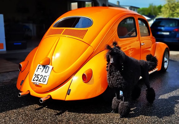 Volkswagen Boble (gml. type) 5 of 5