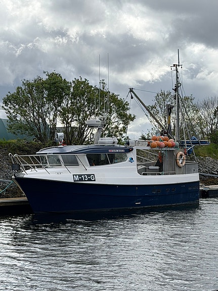 Selfa Speed Sjark 35 - M/S "VILDE" 2 of 5