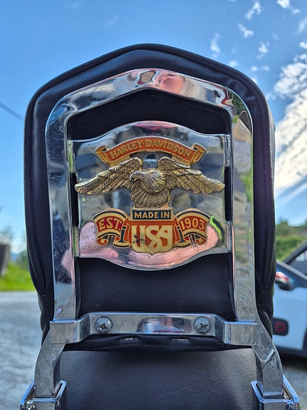 Harley-Davidson CUSTOM 4 of 29