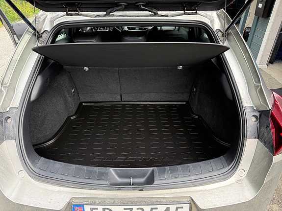 Lexus UX300e 11 of 16
