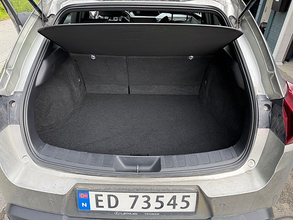 Lexus UX300e 12 of 16