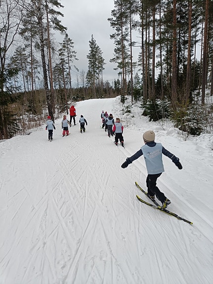 Skiskole