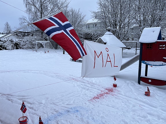 Vinteraktivitetsdag