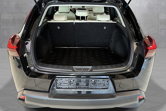 Lexus UX300e 18 of 20