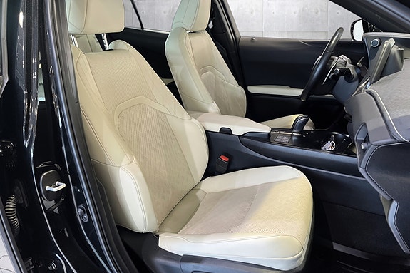 Lexus UX300e 17 of 20