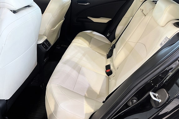 Lexus UX300e 16 of 20