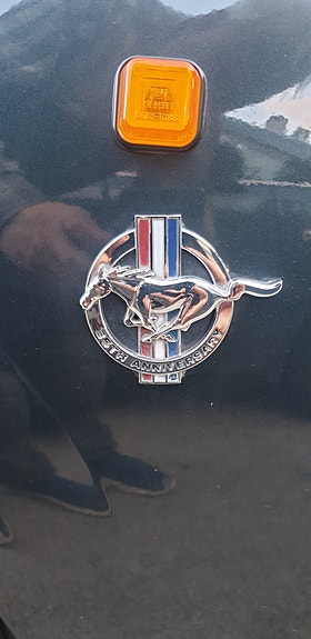 Ford Mustang 9 of 30