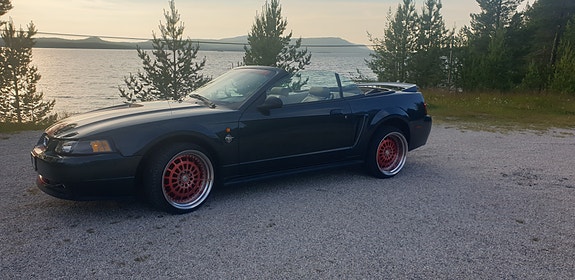 Ford Mustang 2 of 5
