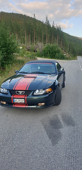 Ford Mustang 4 of 5