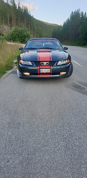 Ford Mustang 21 of 30