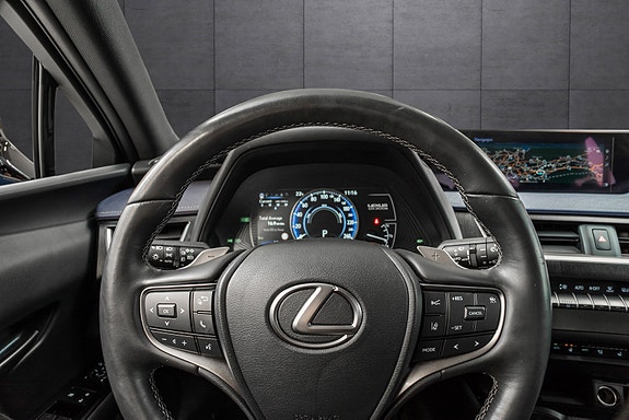 Lexus UX300e 12 of 25