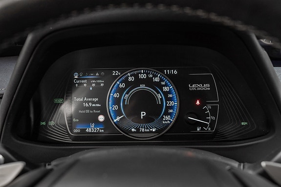 Lexus UX300e 14 of 25