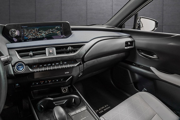 Lexus UX300e 15 of 25