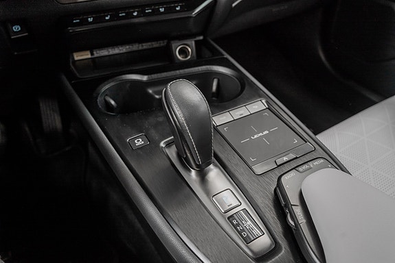 Lexus UX300e 20 of 25