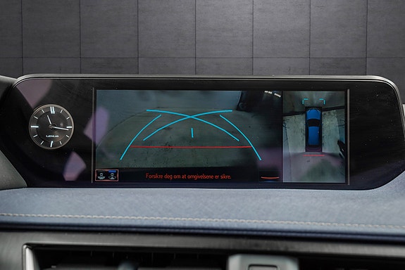 Lexus UX300e 19 of 25