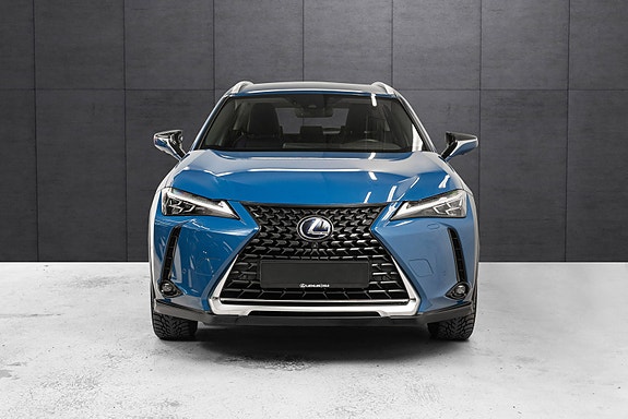 Lexus UX300e 6 of 25