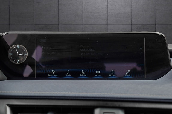 Lexus UX300e 18 of 25
