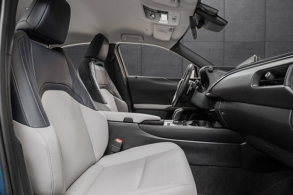 Lexus UX300e 9 of 25