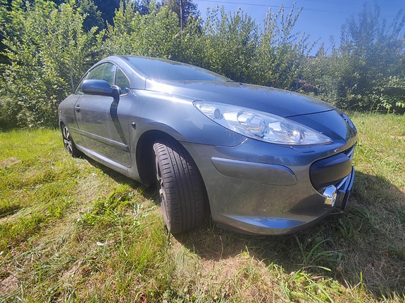 Peugeot 307 13 of 30