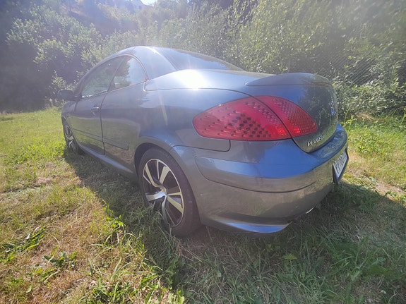 Peugeot 307 22 of 30
