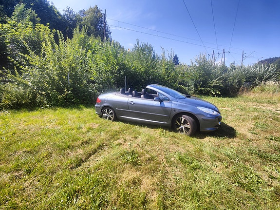 Peugeot 307 4 of 30