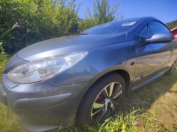 Peugeot 307 20 of 30